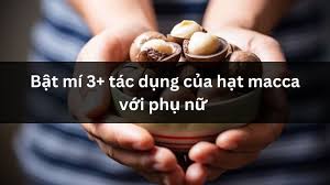 Tác dụng (công dụng) của hạt (quả) macca (mắc ca) với phụ nữ