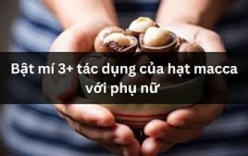 Tác dụng (công dụng) của hạt (quả) macca (mắc ca) với phụ nữ